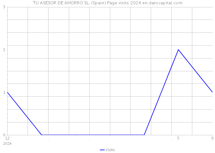 TU ASESOR DE AHORRO SL. (Spain) Page visits 2024 