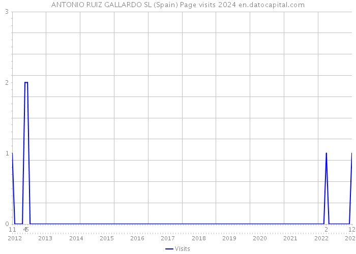 ANTONIO RUIZ GALLARDO SL (Spain) Page visits 2024 