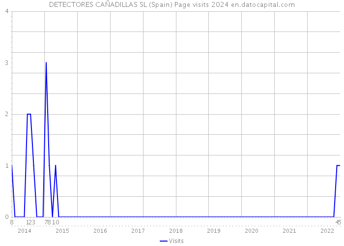 DETECTORES CAÑADILLAS SL (Spain) Page visits 2024 