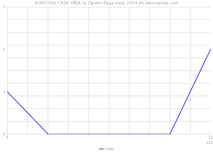 AGRICOLA CASA VIEJA SL (Spain) Page visits 2024 