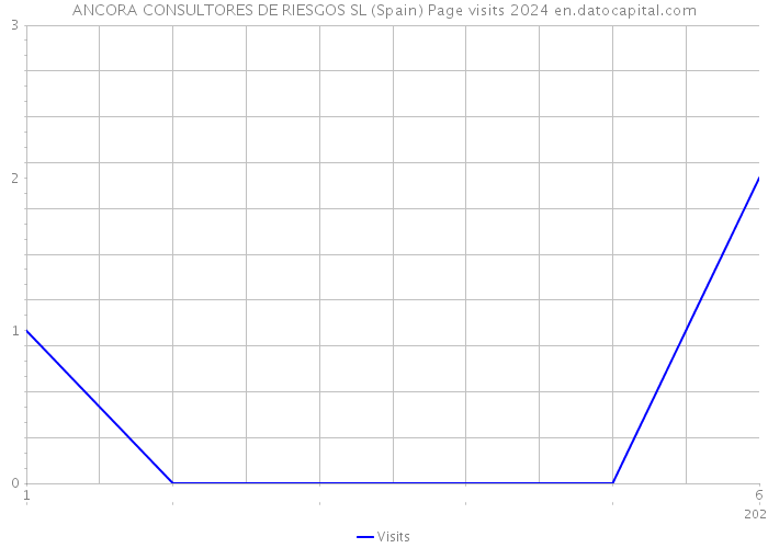 ANCORA CONSULTORES DE RIESGOS SL (Spain) Page visits 2024 