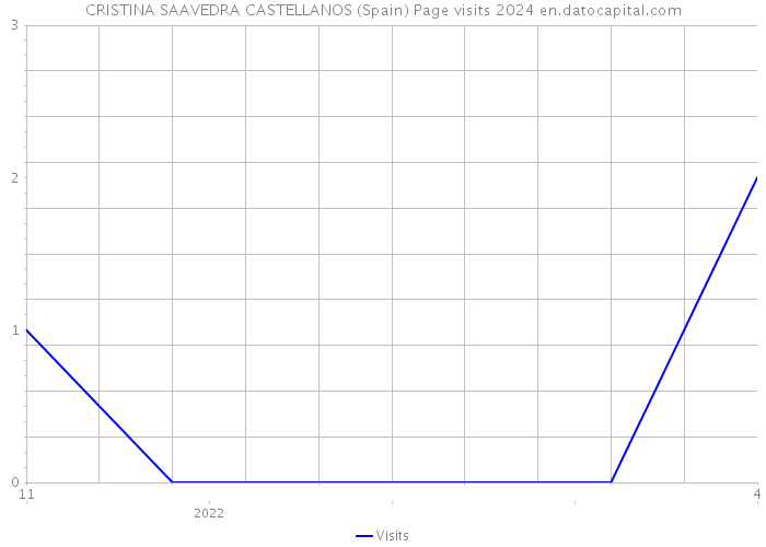 CRISTINA SAAVEDRA CASTELLANOS (Spain) Page visits 2024 