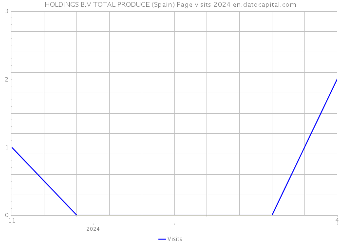 HOLDINGS B.V TOTAL PRODUCE (Spain) Page visits 2024 