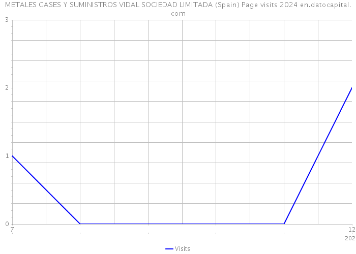 METALES GASES Y SUMINISTROS VIDAL SOCIEDAD LIMITADA (Spain) Page visits 2024 