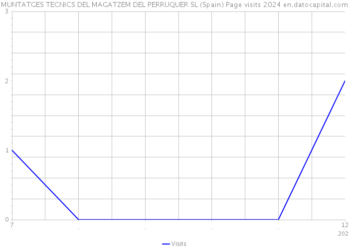 MUNTATGES TECNICS DEL MAGATZEM DEL PERRUQUER SL (Spain) Page visits 2024 