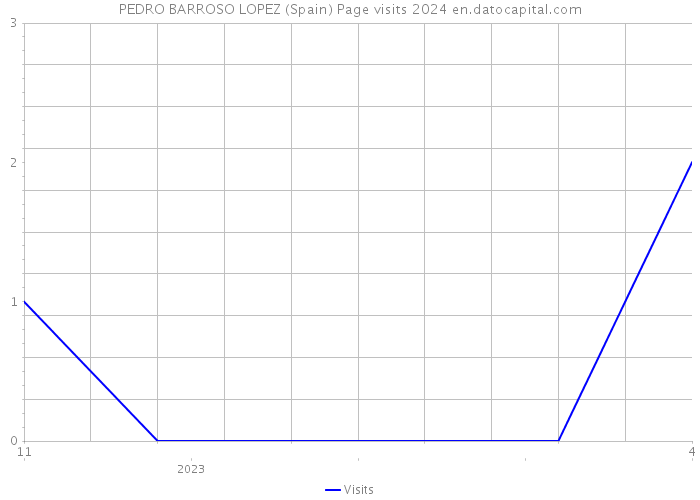 PEDRO BARROSO LOPEZ (Spain) Page visits 2024 