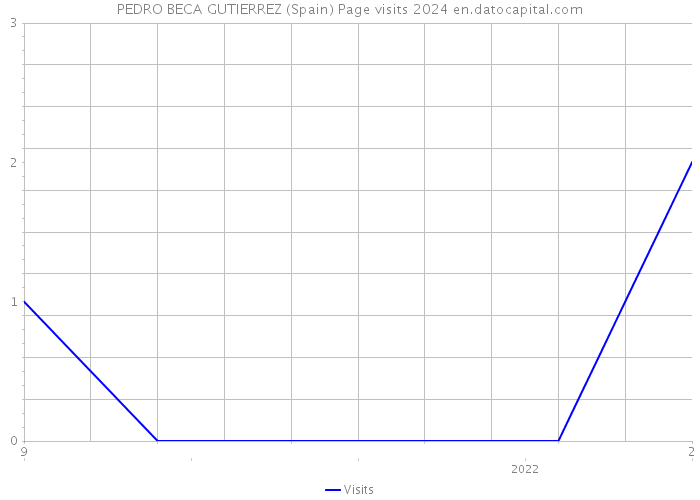 PEDRO BECA GUTIERREZ (Spain) Page visits 2024 