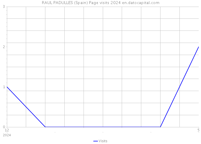 RAUL PADULLES (Spain) Page visits 2024 