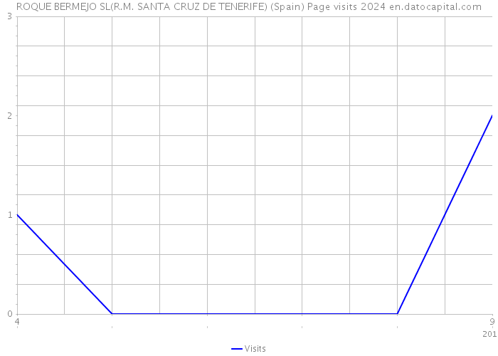 ROQUE BERMEJO SL(R.M. SANTA CRUZ DE TENERIFE) (Spain) Page visits 2024 