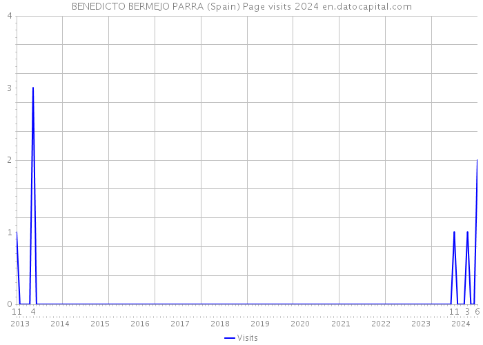 BENEDICTO BERMEJO PARRA (Spain) Page visits 2024 