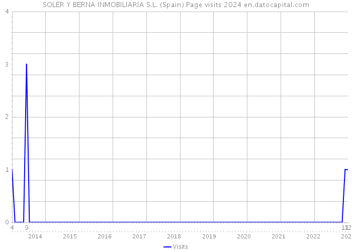 SOLER Y BERNA INMOBILIARIA S.L. (Spain) Page visits 2024 