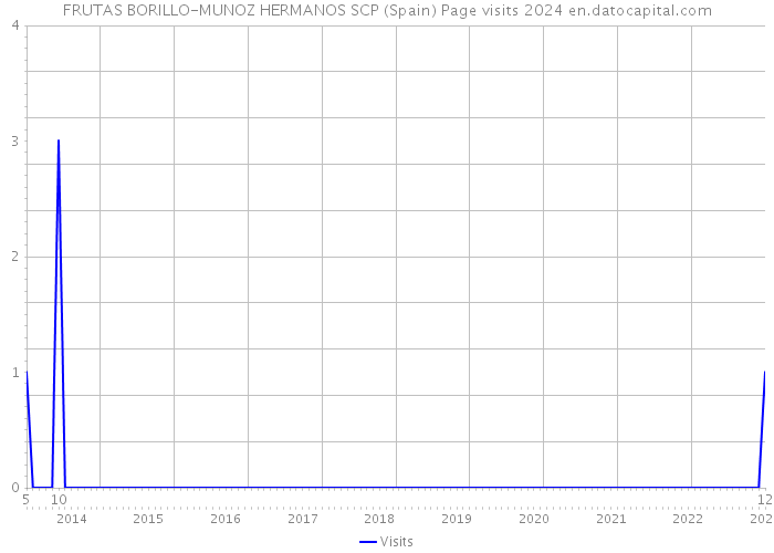 FRUTAS BORILLO-MUNOZ HERMANOS SCP (Spain) Page visits 2024 