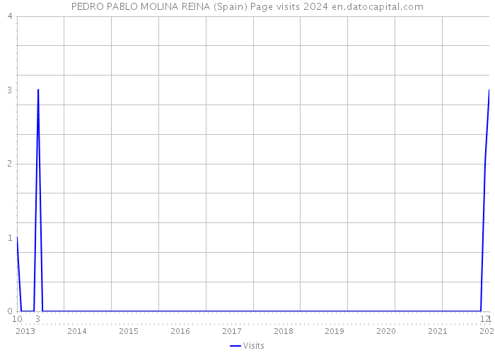 PEDRO PABLO MOLINA REINA (Spain) Page visits 2024 