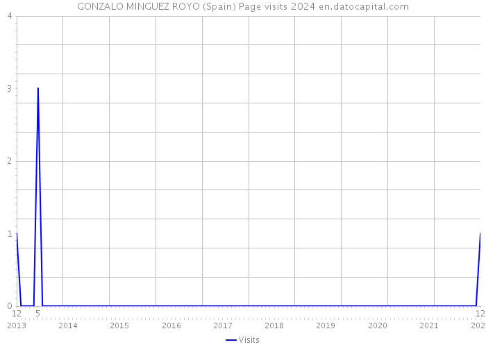 GONZALO MINGUEZ ROYO (Spain) Page visits 2024 