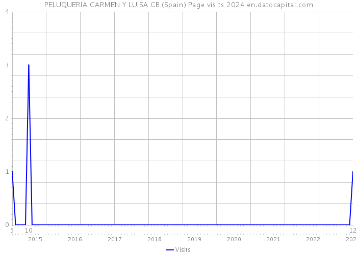 PELUQUERIA CARMEN Y LUISA CB (Spain) Page visits 2024 