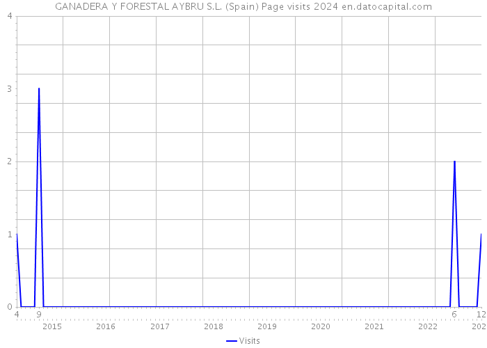 GANADERA Y FORESTAL AYBRU S.L. (Spain) Page visits 2024 