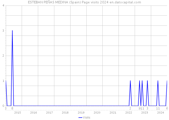 ESTEBAN PEÑAS MEDINA (Spain) Page visits 2024 