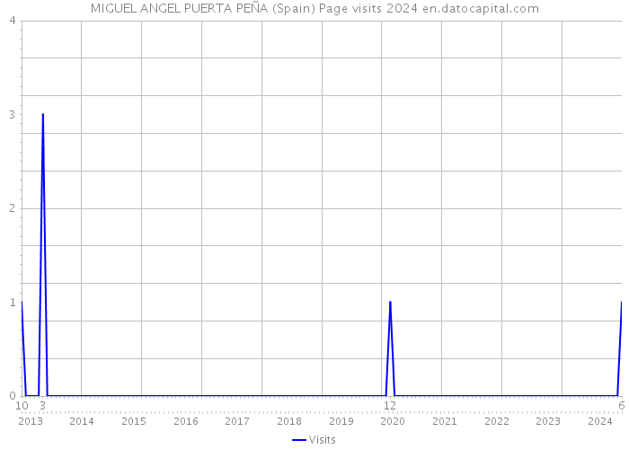 MIGUEL ANGEL PUERTA PEÑA (Spain) Page visits 2024 