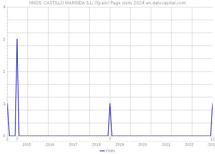 HNOS. CASTILLO MARINDA S.L. (Spain) Page visits 2024 