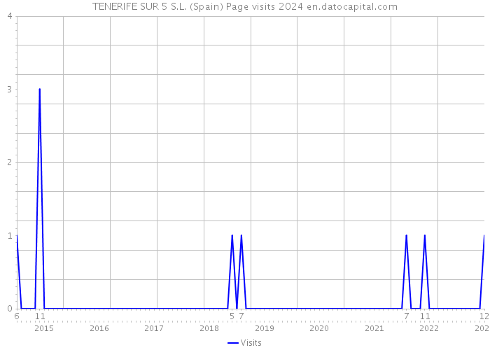 TENERIFE SUR 5 S.L. (Spain) Page visits 2024 