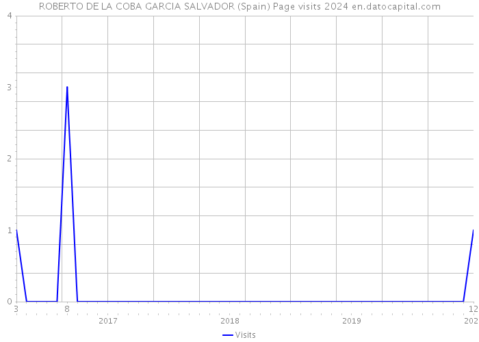 ROBERTO DE LA COBA GARCIA SALVADOR (Spain) Page visits 2024 