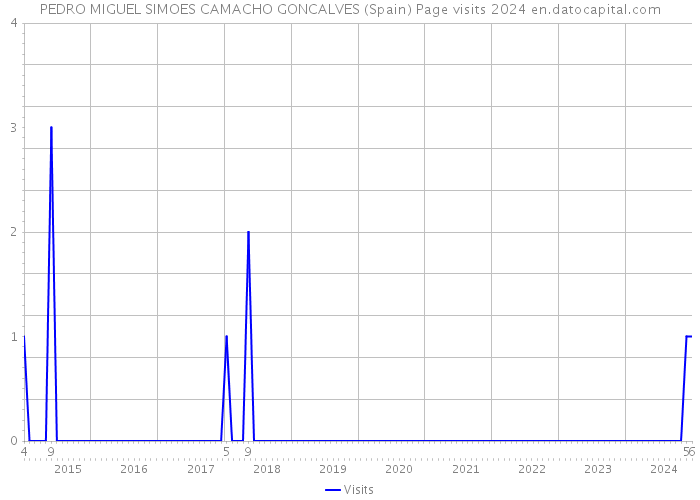 PEDRO MIGUEL SIMOES CAMACHO GONCALVES (Spain) Page visits 2024 