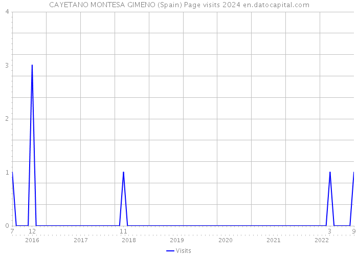 CAYETANO MONTESA GIMENO (Spain) Page visits 2024 