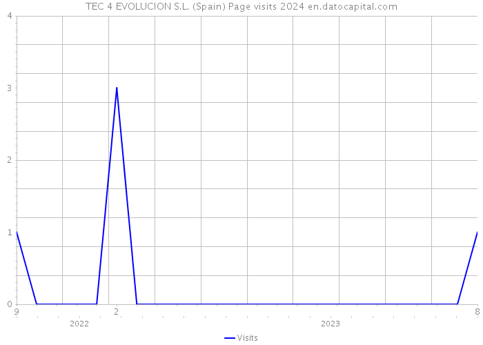 TEC 4 EVOLUCION S.L. (Spain) Page visits 2024 