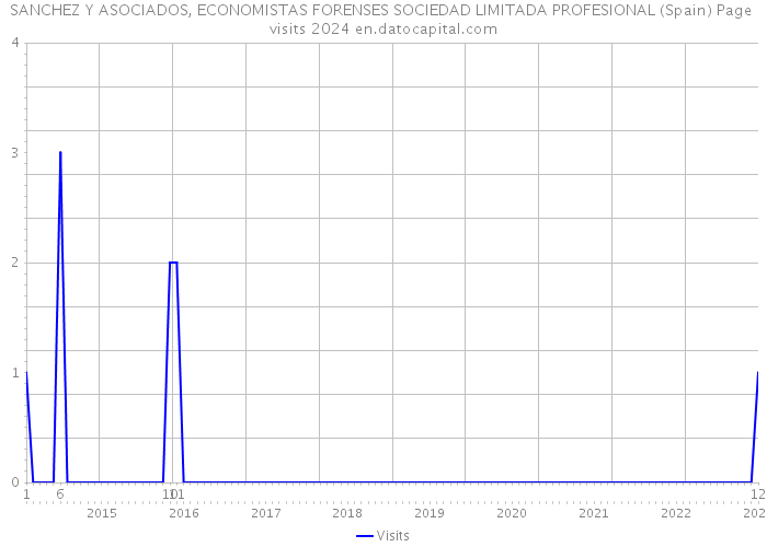 SANCHEZ Y ASOCIADOS, ECONOMISTAS FORENSES SOCIEDAD LIMITADA PROFESIONAL (Spain) Page visits 2024 