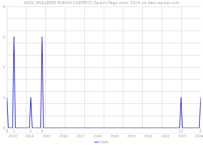ASOC MULLERES RURAIS CARPEXO (Spain) Page visits 2024 