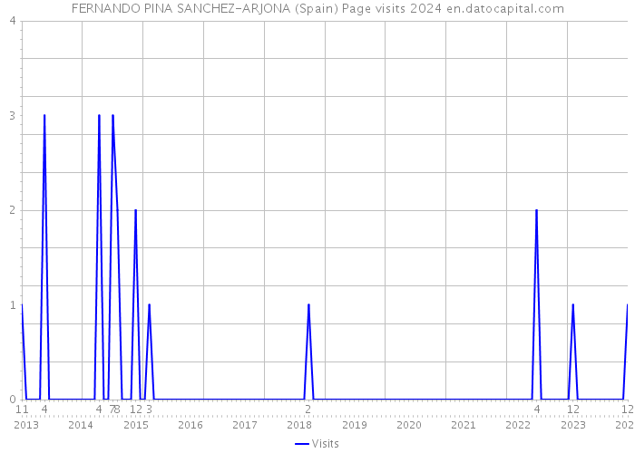 FERNANDO PINA SANCHEZ-ARJONA (Spain) Page visits 2024 