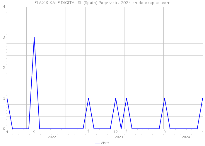 FLAX & KALE DIGITAL SL (Spain) Page visits 2024 