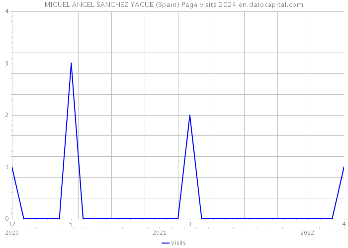 MIGUEL ANGEL SANCHEZ YAGUE (Spain) Page visits 2024 