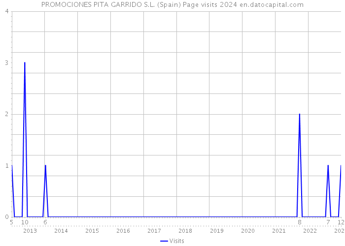 PROMOCIONES PITA GARRIDO S.L. (Spain) Page visits 2024 