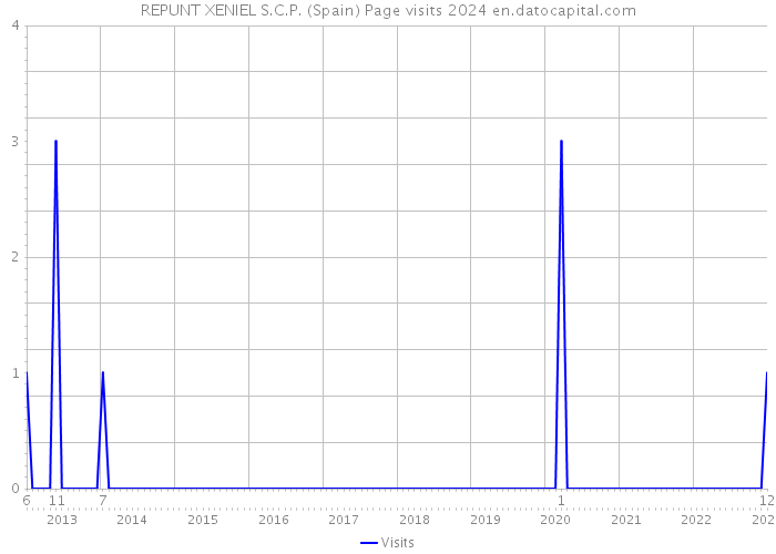 REPUNT XENIEL S.C.P. (Spain) Page visits 2024 