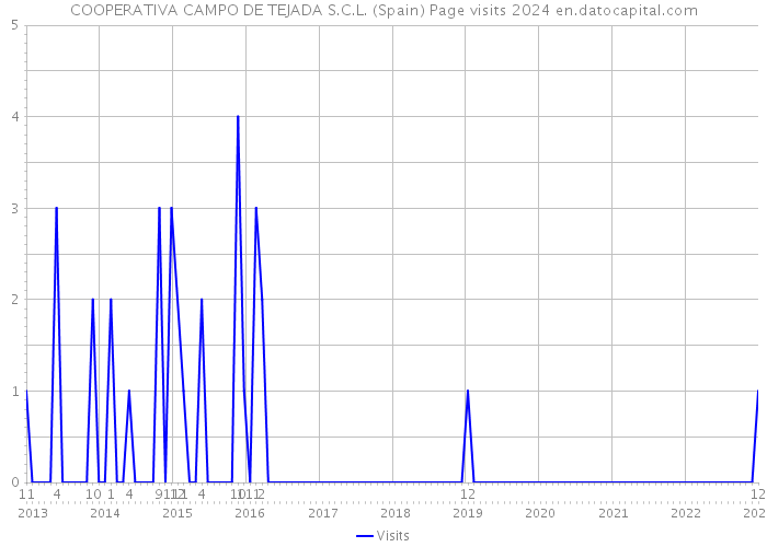 COOPERATIVA CAMPO DE TEJADA S.C.L. (Spain) Page visits 2024 