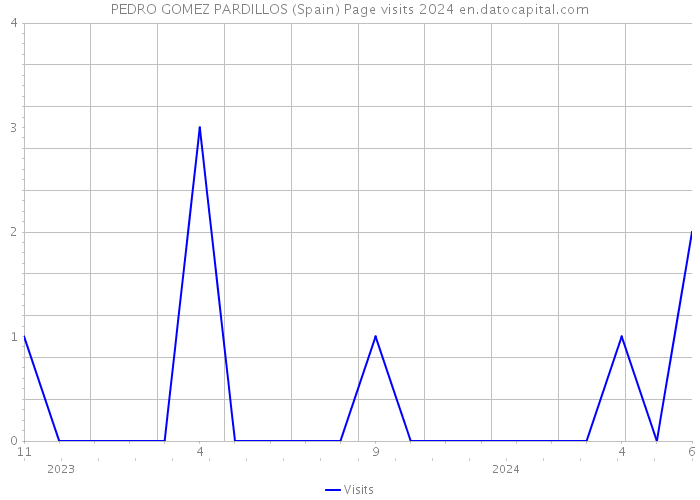 PEDRO GOMEZ PARDILLOS (Spain) Page visits 2024 