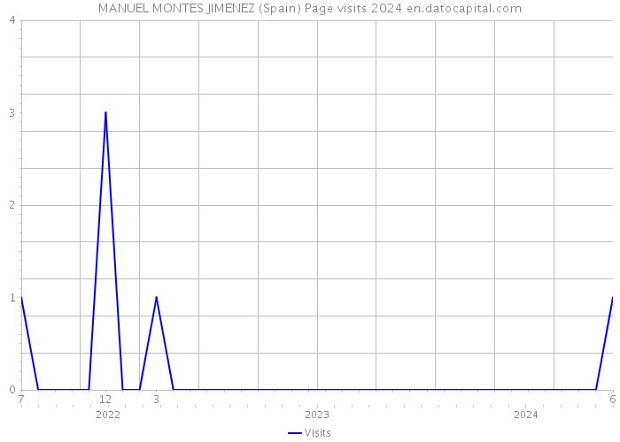 MANUEL MONTES JIMENEZ (Spain) Page visits 2024 