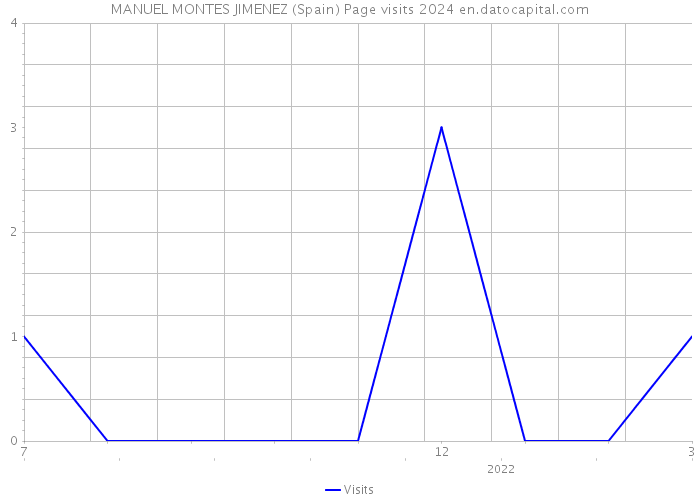 MANUEL MONTES JIMENEZ (Spain) Page visits 2024 
