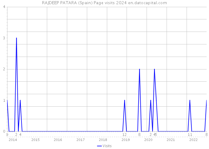 RAJDEEP PATARA (Spain) Page visits 2024 
