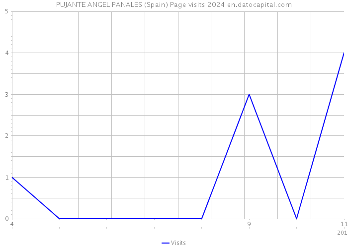 PUJANTE ANGEL PANALES (Spain) Page visits 2024 