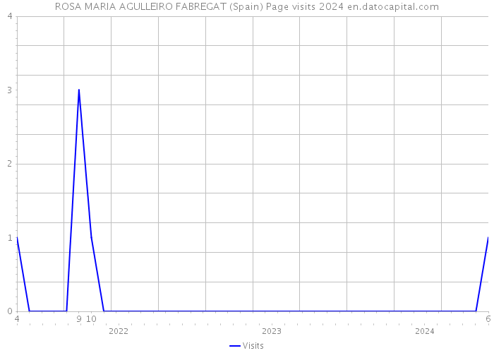 ROSA MARIA AGULLEIRO FABREGAT (Spain) Page visits 2024 