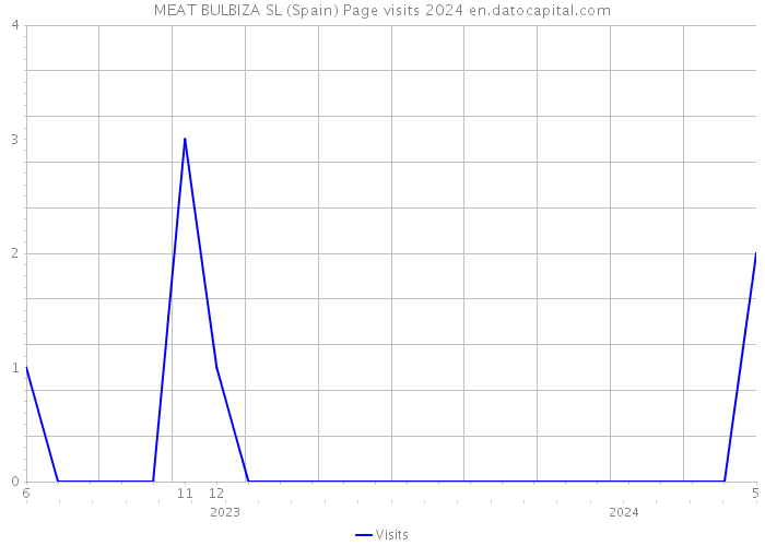 MEAT BULBIZA SL (Spain) Page visits 2024 