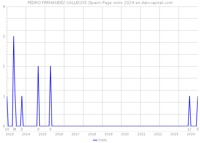 PEDRO FERNANDEZ GALLEGOS (Spain) Page visits 2024 