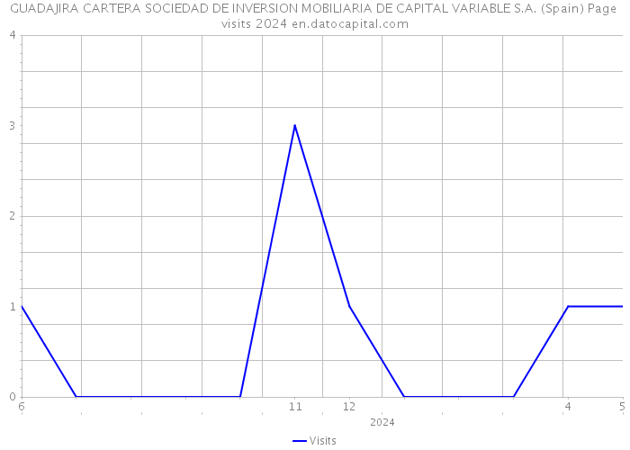 GUADAJIRA CARTERA SOCIEDAD DE INVERSION MOBILIARIA DE CAPITAL VARIABLE S.A. (Spain) Page visits 2024 