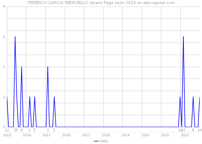 FEDERICO GARCIA REDRUELLO (Spain) Page visits 2024 