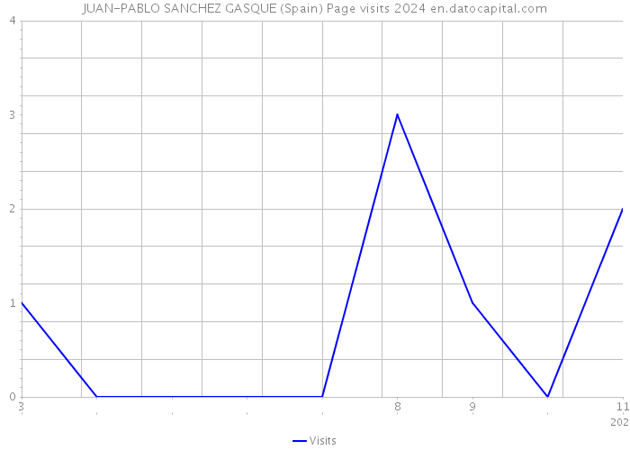 JUAN-PABLO SANCHEZ GASQUE (Spain) Page visits 2024 