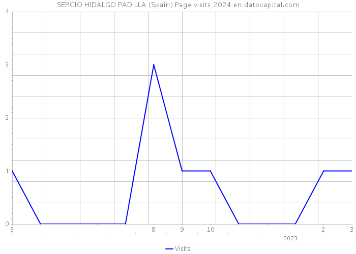 SERGIO HIDALGO PADILLA (Spain) Page visits 2024 