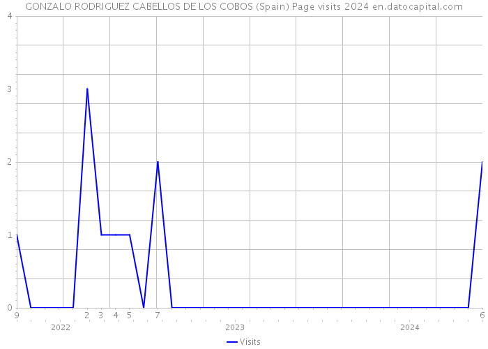 GONZALO RODRIGUEZ CABELLOS DE LOS COBOS (Spain) Page visits 2024 