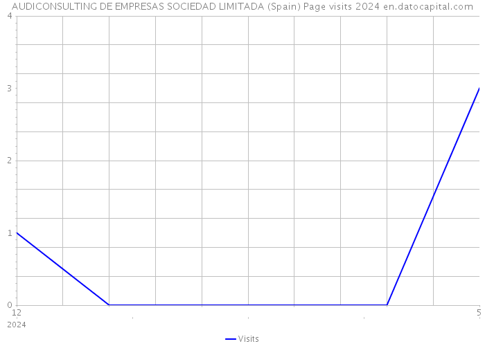 AUDICONSULTING DE EMPRESAS SOCIEDAD LIMITADA (Spain) Page visits 2024 